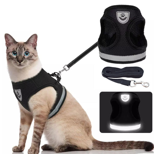 Reflective Adjustable Cat Harness and Leash Set