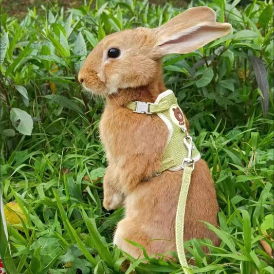 Adorable Rabbit Harness | Little Paws Pet Deals